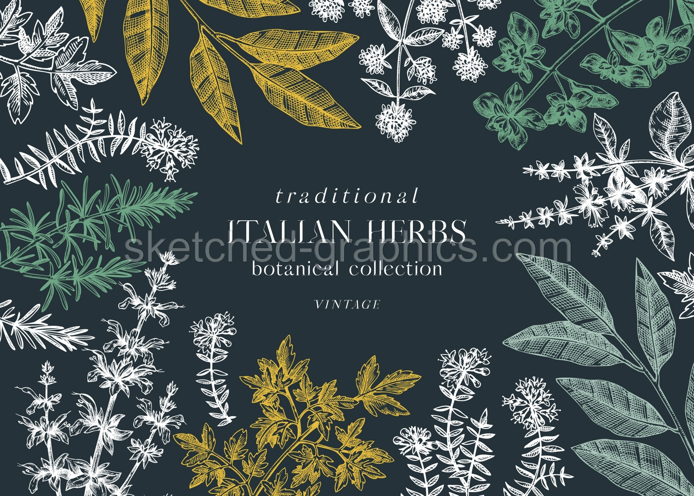 Vector banner design with  typical herbs and spices for Italian cuisine. Hand-sketched kitchen herbs plants background. Aromatic food cooking herbal ingredients frame. On chalkboard Illustration